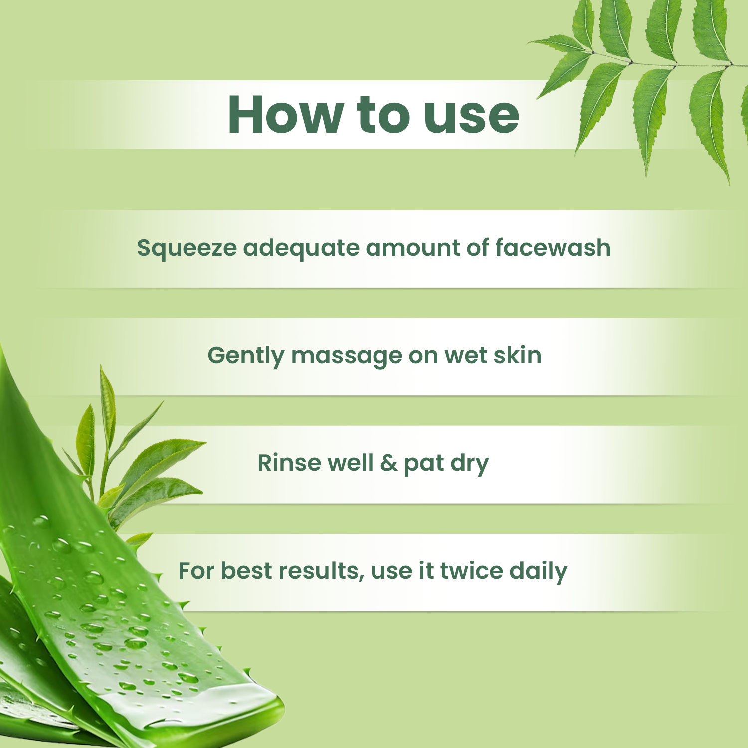 how to apply aloe vera neem tree face wash