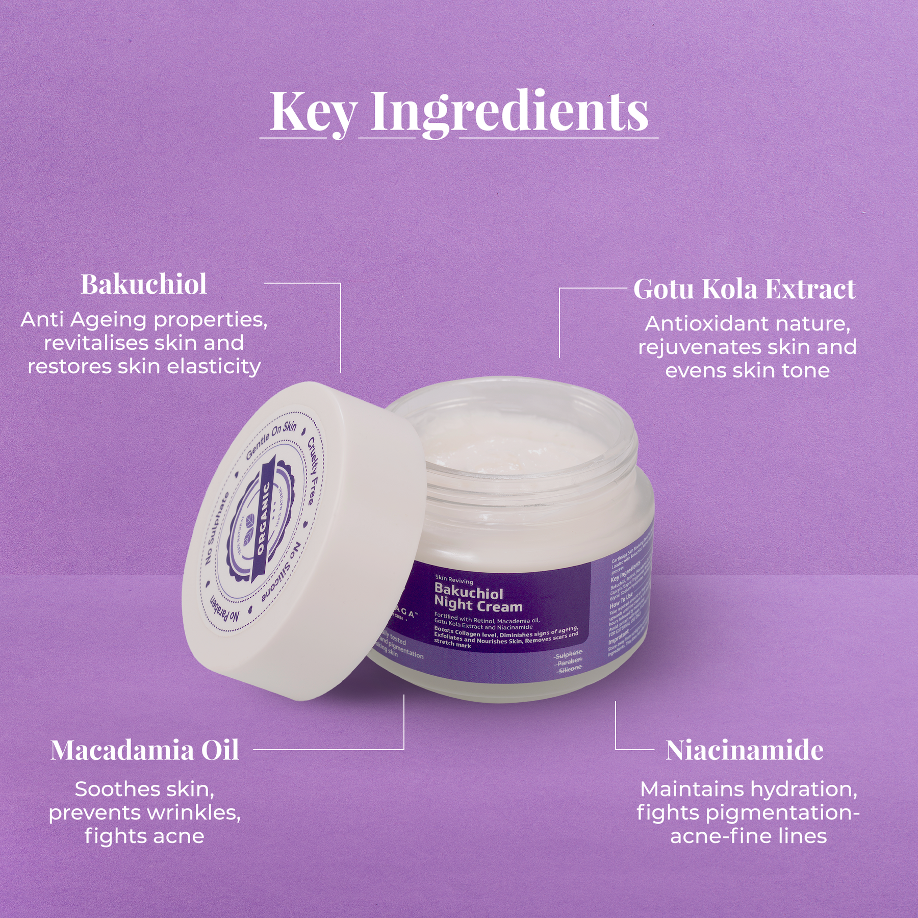 Buy Bakuchiol Night Cream For Younger Skin Online Earthraga