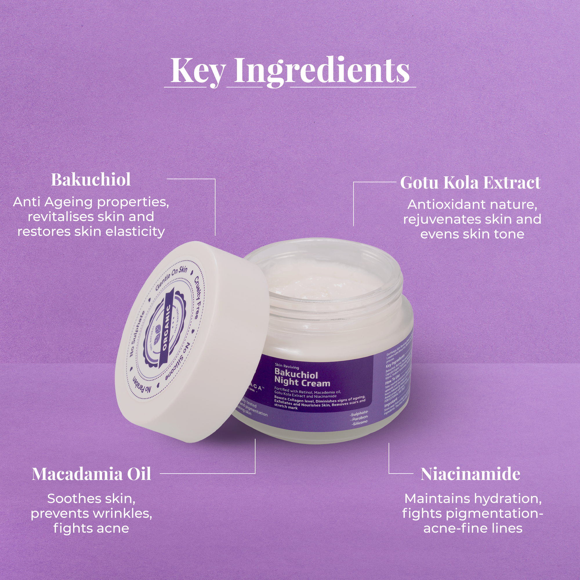 Earthraga Bakuchiol Day Cream & Night Cream Combo |  100gm X 2