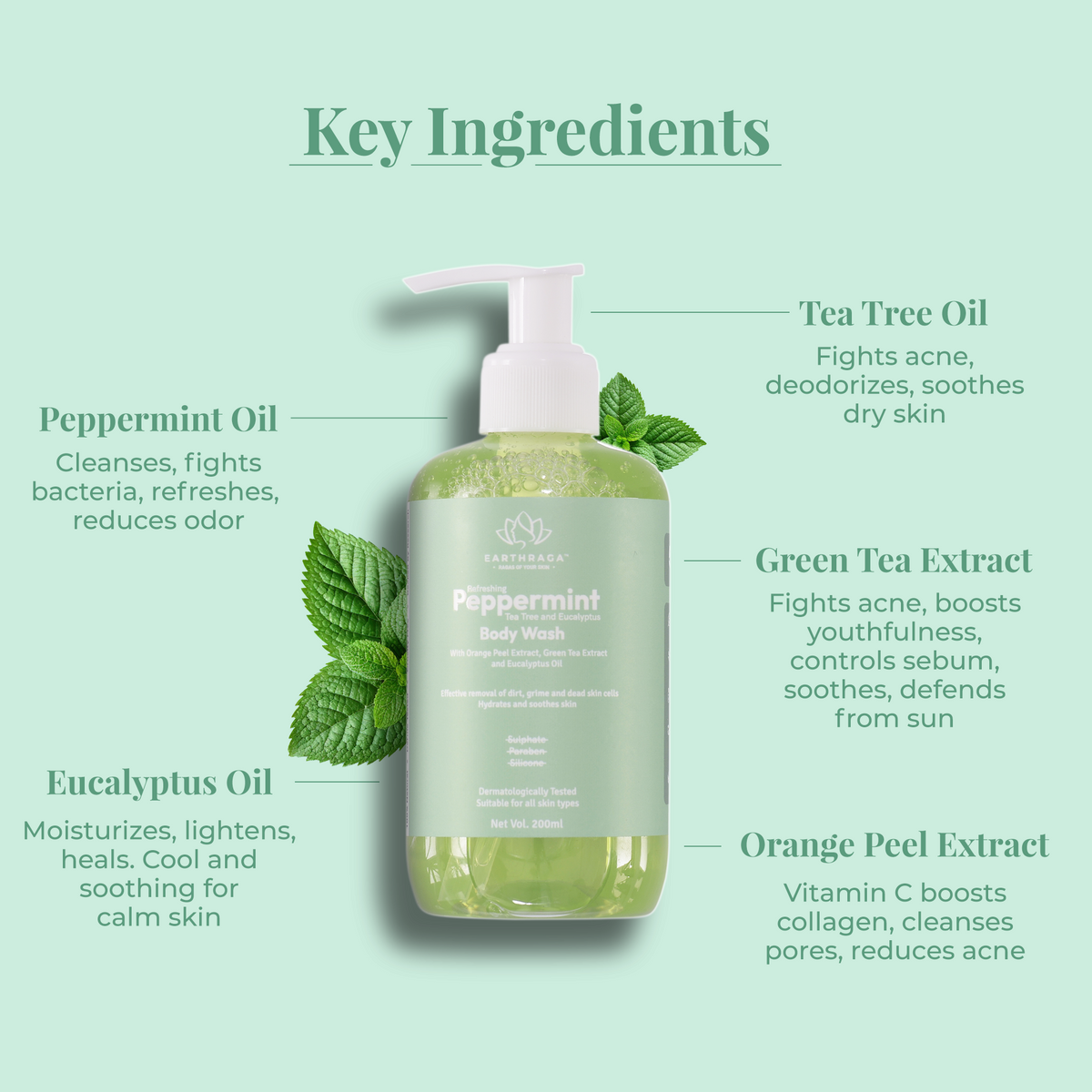 Refreshing Peppermint, Tea Tree and Eucalyptus Body Wash | Antibacterial & Antiseptic | 200 ml