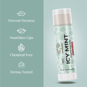 Icy Mint Natural Lip Balm 4g